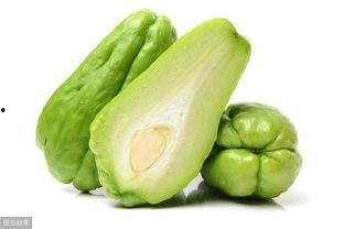 蒲瓜炒着吃的瓜有哪些品种,常见蒲瓜品种大盘点