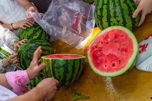 永远吃瓜,揭秘娱乐圈幕后真相