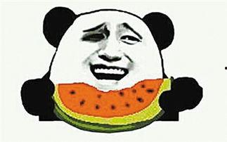 吃瓜群众是什么动物,揭秘网络时代的“瓜田”动物 第1张 吃瓜群众是什么动物,揭秘网络时代的“瓜田”动物 第1张