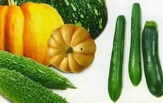 吃瓜微信 推荐,微信上的热门话题与幕后真相