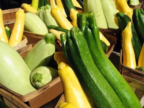 吃瓜养杨,揭秘网络红人的崛起之路 第3张 吃瓜养杨,揭秘网络红人的崛起之路 第3张