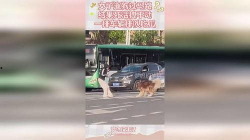 吃瓜的车子排队,揭秘热门事件现场盛况 第2张 吃瓜的车子排队,揭秘热门事件现场盛况 第2张