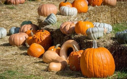 唐店吃瓜 第3张 唐店吃瓜 第3张