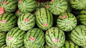 河马吃瓜解暑,夏日清凉新风尚  第3张