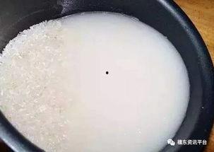 吃瓜 蛆,揭秘网络舆论场中的“吃瓜群众”现象 第3张 吃瓜 蛆,揭秘网络舆论场中的“吃瓜群众”现象 第3张