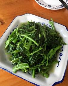 上饶玉山吃瓜,探寻夏日消暑美食——吃瓜文化之旅  第3张