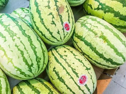 绞瓜是做什么吃,探索绞瓜的烹饪奥秘  第3张