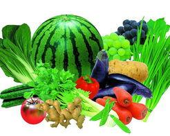 种瓜吃瓜种菜吃菜,种瓜吃瓜，种菜吃菜的生活哲学  第3张