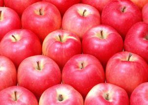 尿毒症可以吃哈密瓜吗,哈密瓜的适宜摄入分析 第1张 尿毒症可以吃哈密瓜吗,哈密瓜的适宜摄入分析 第1张