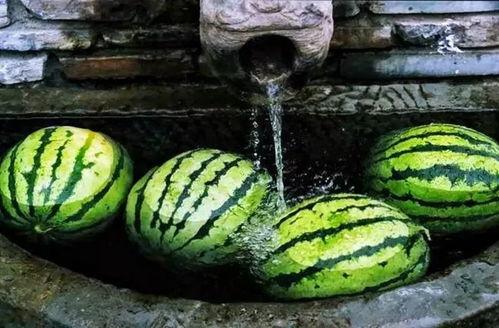 吃瓜从哪里开始,探寻娱乐圈的甜蜜与苦涩 第1张 吃瓜从哪里开始,探寻娱乐圈的甜蜜与苦涩 第1张