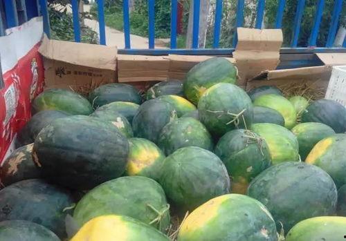 吃瓜从哪里开始,探寻娱乐圈的甜蜜与苦涩 第2张 吃瓜从哪里开始,探寻娱乐圈的甜蜜与苦涩 第2张