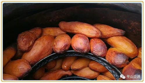 吃烤土瓜 第1张 吃烤土瓜 第1张