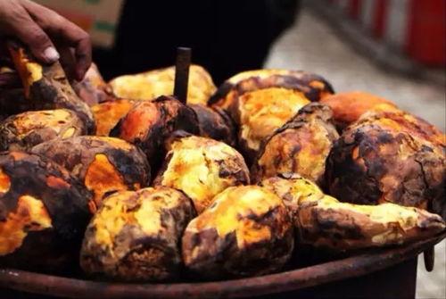 吃烤土瓜 第2张 吃烤土瓜 第2张