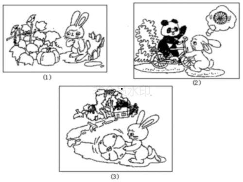 瓜园吃瓜看图写话,吃瓜群众的欢乐时光  第1张