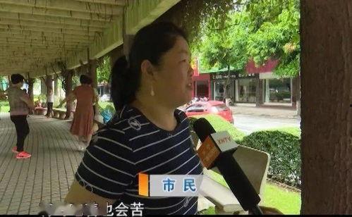 吃瓜群众类型视频,不同类型视频背后的心理解析 第3张 吃瓜群众类型视频,不同类型视频背后的心理解析 第3张