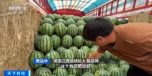 曹县吃瓜7.29,揭秘背后真相与网络热议 第3张 曹县吃瓜7.29,揭秘背后真相与网络热议 第3张