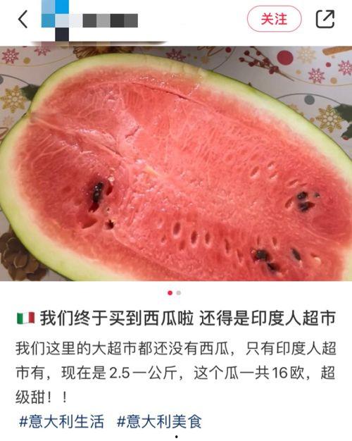 外国吃瓜官网 第2张 外国吃瓜官网 第2张