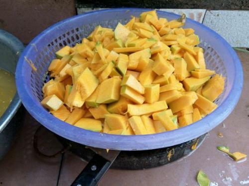 草鱼吃洋瓜吗怎么吃的