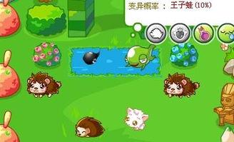 奥比岛山脚吃瓜,夏日狂欢盛宴来袭