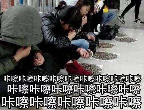 吃瓜前线,揭秘娱乐圈最新热点事件