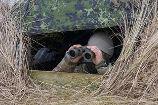 吃瓜群众训练视频,从训练视频看网络围观现象