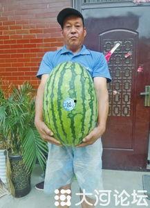 51吃瓜必吃大瓜,带你领略娱乐圈风云变幻