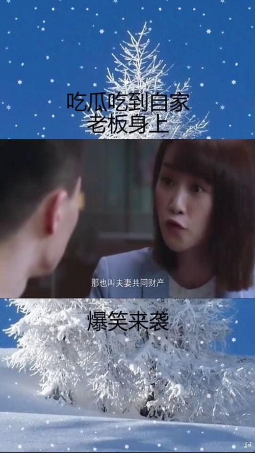 吃瓜好笑小说,揭秘吃瓜群众的欢乐盛宴