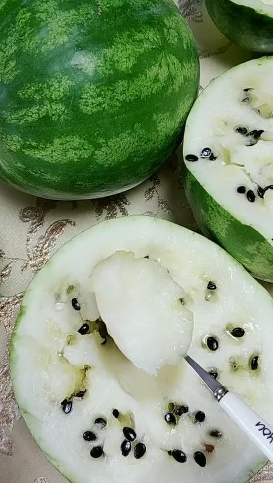 吃瓜子吃大瓜视频,揭秘吃瓜子大瓜的趣味之旅