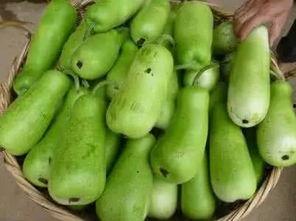 做梦人家给瓜吃