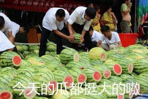 实锤吃瓜网,揭秘娱乐圈幕后真相，带你走进明星真实生活